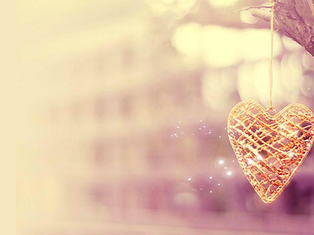 19875631_1340940622628374_802153198061882076_n