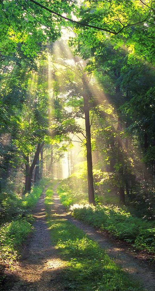 10247334_918954401493667_4647209178734661953_n