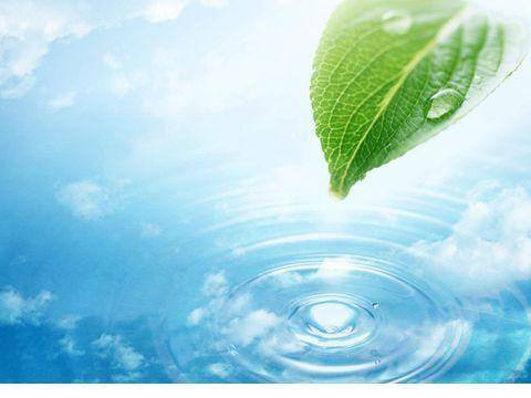 12509722_930711830317924_4169178249792208965_n