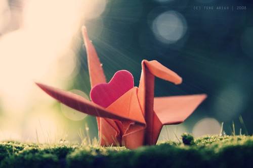 19554679_10212382790943460_8161879253309817368_n