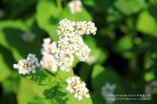 20914216_10212413941842213_5917059240076243500_n