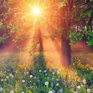 04AF7795-FA93-4A01-981E-FDA117C94852