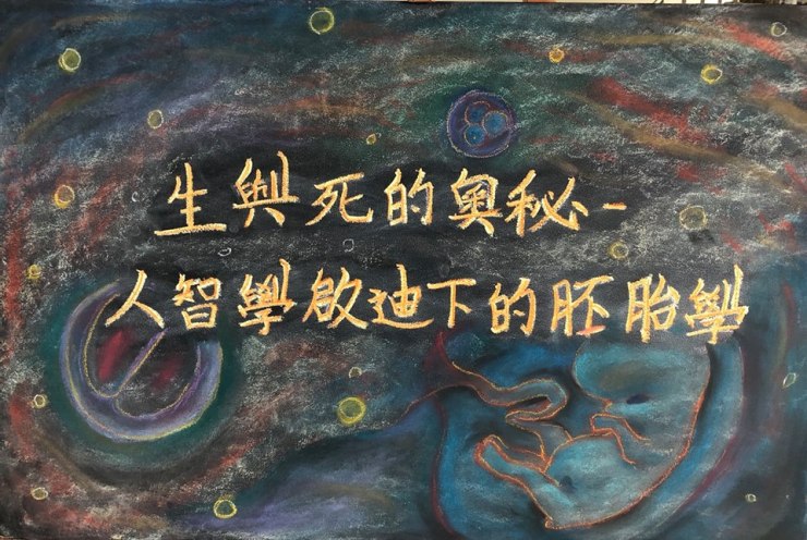 26166441_386220208494034_9108768751806246722_n