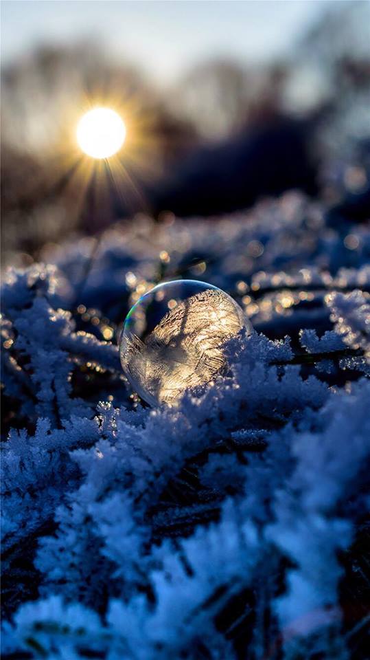 35243368_10214667243213339_3780800169537175552_n