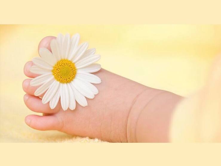 36895467_10214859660663655_1899845463029317632_n