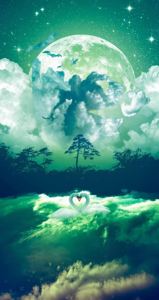 37580920_10214938363791184_3781757294409154560_n