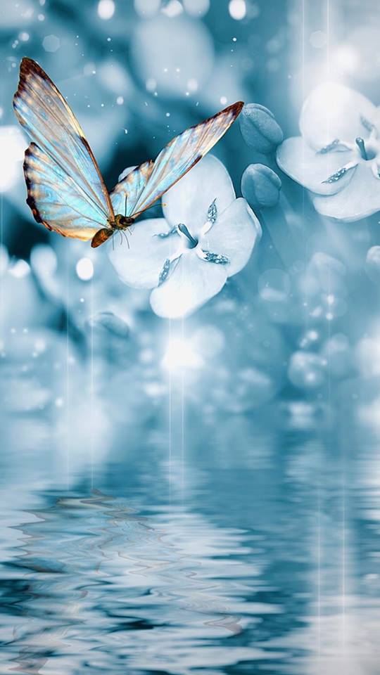 37649849_10214946278149038_1817131290625835008_n